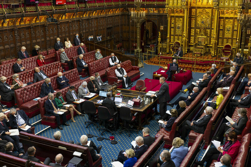 House of Review - A synthesis option for Lords reform