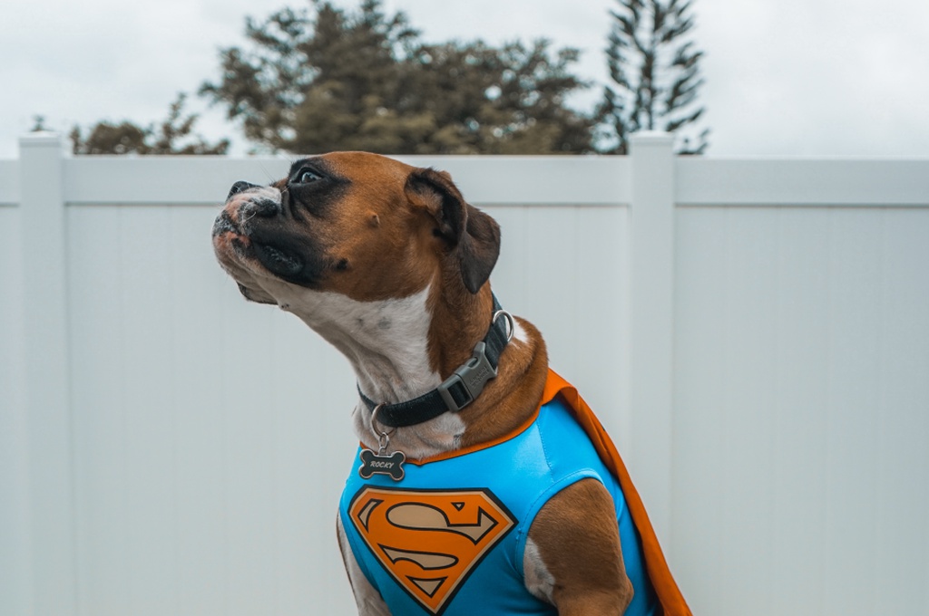 Super contributors and power laws