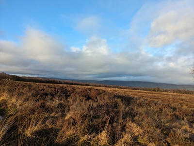 Democracy month notes - January