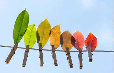 How many people use Freedom of Information? The numbers blog post