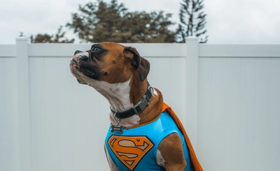 Super contributors and power laws