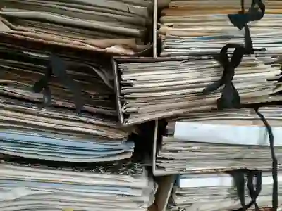 To fix Parliament, fix the Public Ombudsman