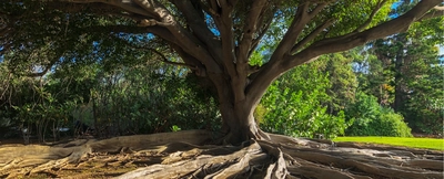 We want you to build on our local climate data. Tell us what you need!